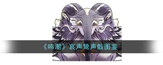鸣潮哀声鸷声骸图鉴