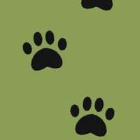 Trace footstepsios版