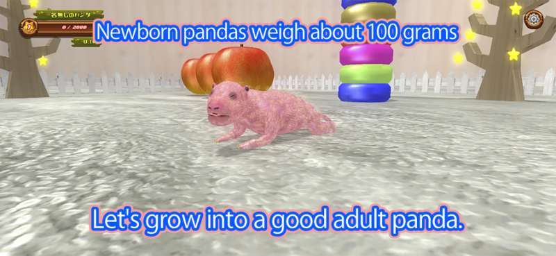 Newborn pandaios版0