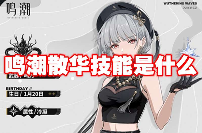 鸣潮散华技能是什么