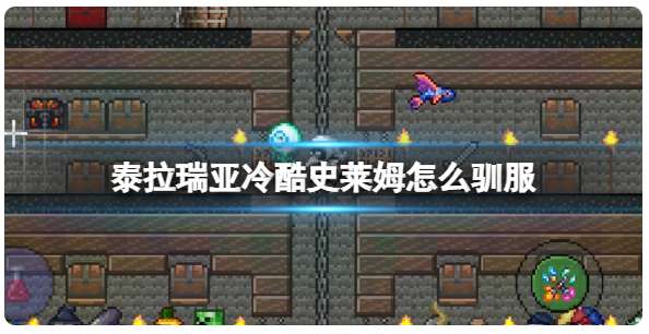 泰拉瑞亚如何驯服冷酷史莱姆 有关冷酷史莱姆驯服的攻略教程