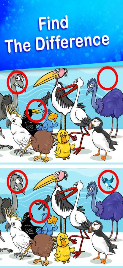 Find The Difference 1000 levelios版0