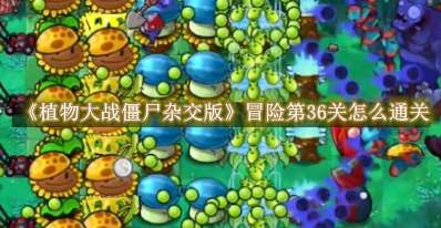 《植物大战僵尸杂交版》冒险第36关怎么通关
