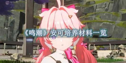 《鸣潮》安可培养材料一览