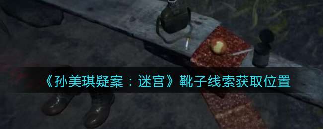 《孙美琪疑案：迷宫》五级线索——靴子