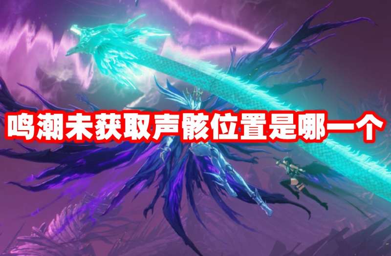 鸣潮未获取声骸位置是哪一个