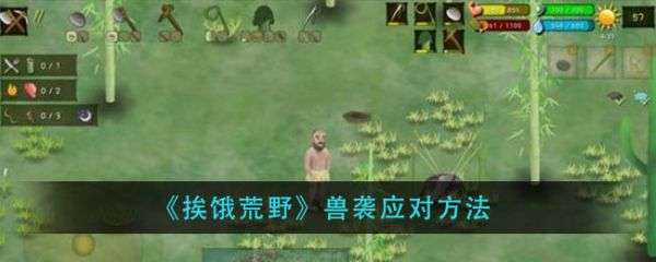 挨饿荒野兽袭怎么办