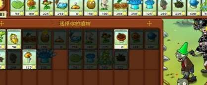 植物大战僵尸杂交版冒险第十四关如何过关