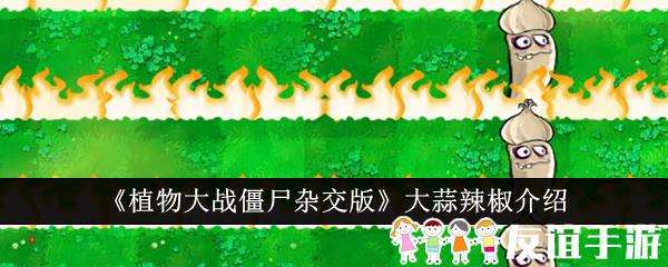 植物大战僵尸杂交版大蒜辣椒介绍