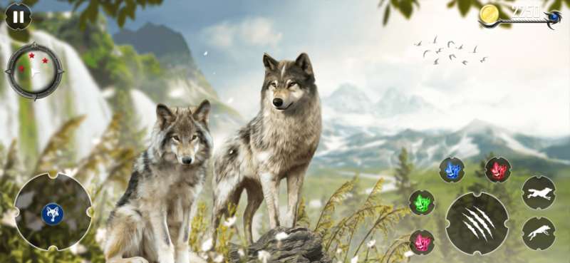 野狼 3d 动物模拟器ios版0