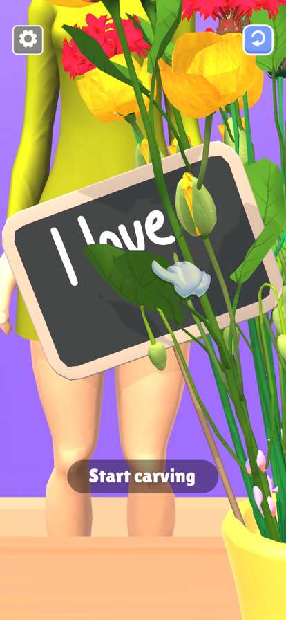 Florist Shop 3Dios版6