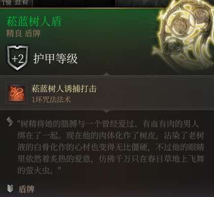 博德之门3菘蓝树人盾怎么获得-博德之门3菘蓝树人盾获得攻略