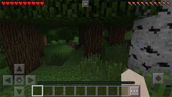 我的世界教育版1