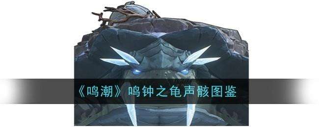 鸣潮鸣钟之龟声骸图鉴