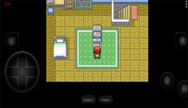 精灵宝可梦火红随机版1