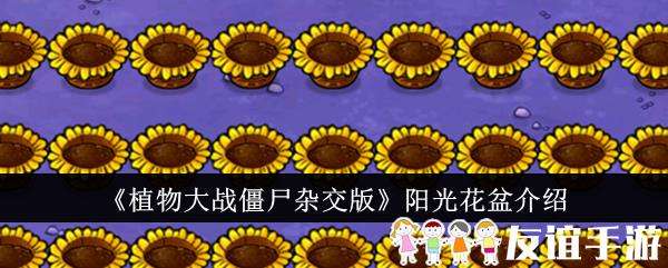 植物大战僵尸杂交版阳光花盆介绍
