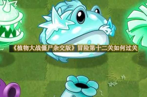 《植物大战僵尸杂交版》冒险第十二关如何过关