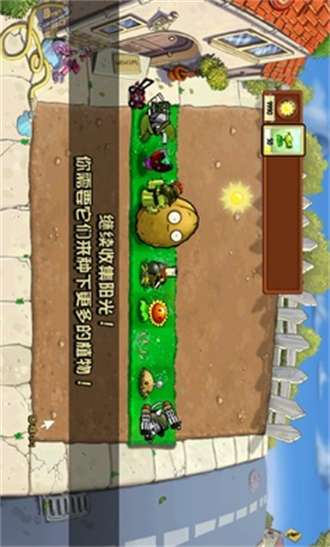 植物大战僵尸仿e支随机版1