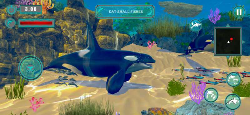 Killer Whale Orca Simulatorios版3
