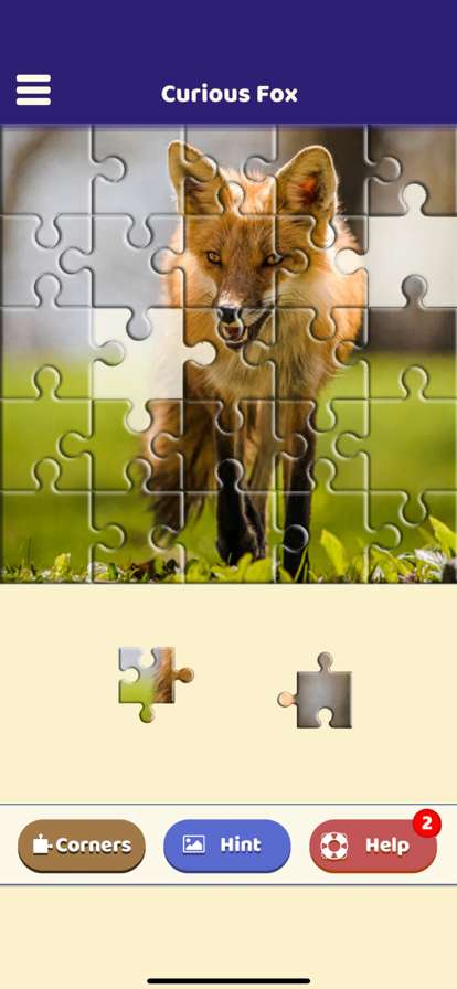 Curious Fox Puzzleios版2