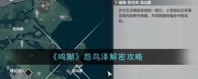 鸣潮怨鸟泽解密怎么完成