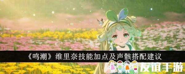 鸣潮维里奈技能加点及声骸搭配建议