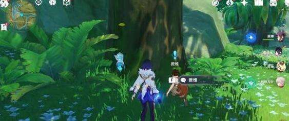 原神须弥蔷薇的种子任务怎么做 原神收集蔷薇的种子任务攻略