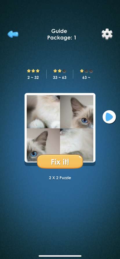 Slide Picture : Jigsaw Puzzleios版2