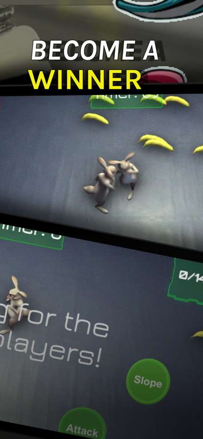 Rabbits fight matchios版2