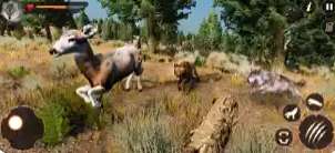 野狼模拟器猎人3Dios版1