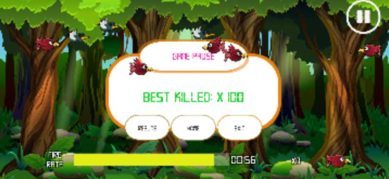 BirdHunting Playgroundios版2