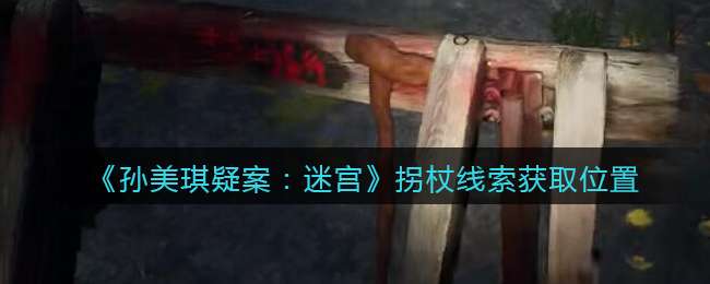 《孙美琪疑案：迷宫》五级线索——拐杖