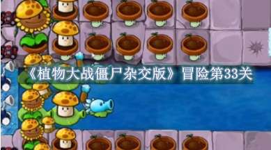 《植物大战僵尸杂交版》冒险第33关怎么通关