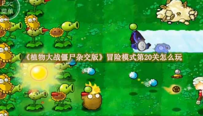 《植物大战僵尸杂交版》冒险模式第20关怎么玩