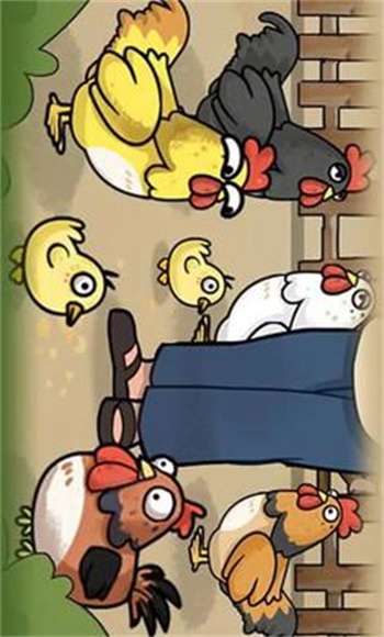 养鸡日记2