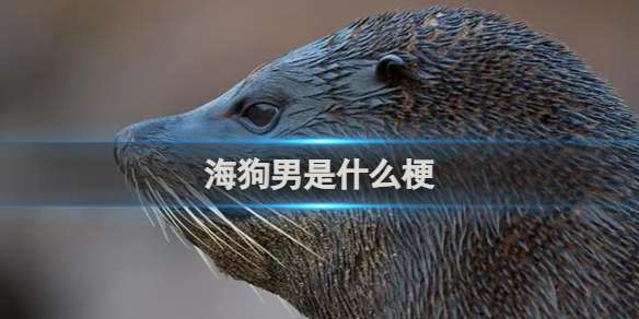 海狗男是什么梗 海狗男梗介绍