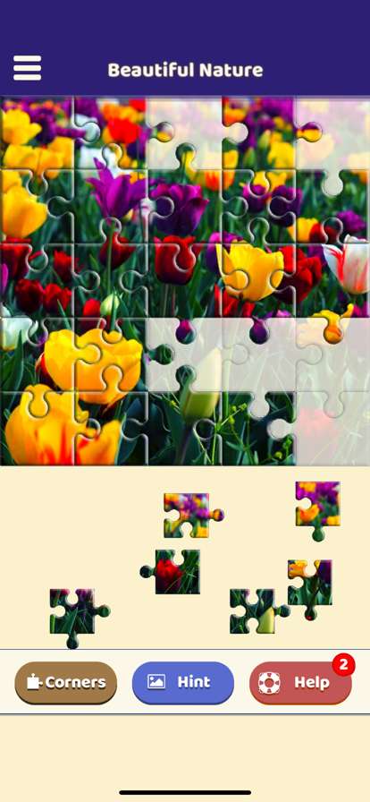 Beautiful Nature Puzzleios版2