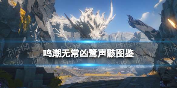 鸣潮无常凶鹭声骸图鉴 鸣潮怒涛级声骸无常凶鹭技能属性一览