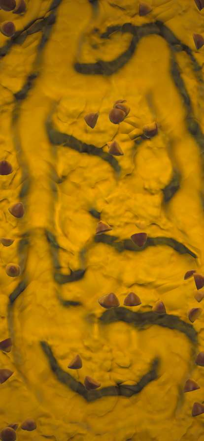 Slime Hoarderios版7