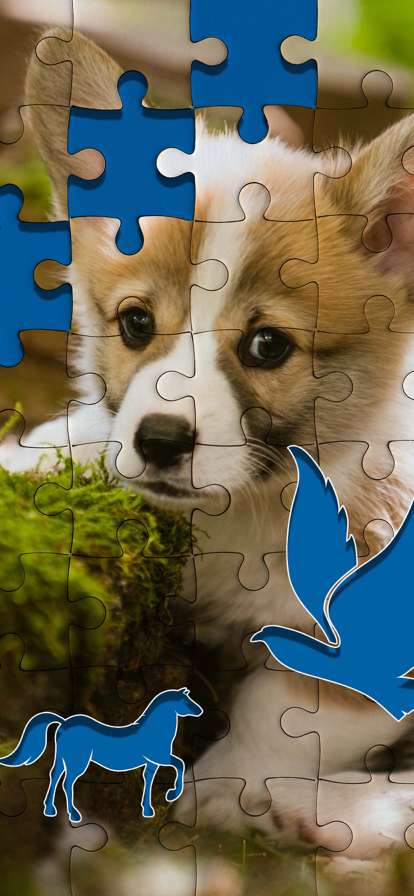 动物拼图, 魔术积木ios版2