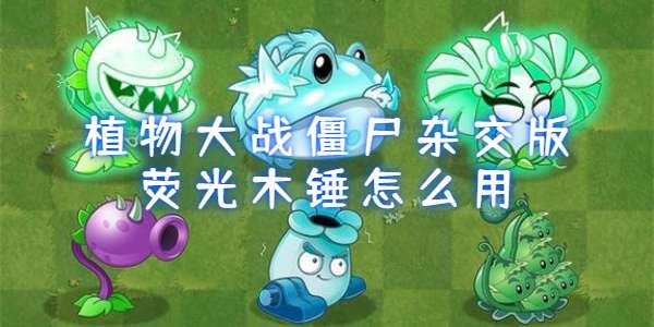 植物大战僵尸杂交版荧光木锤怎么用