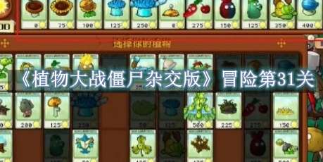《植物大战僵尸杂交版》冒险第31关怎么过