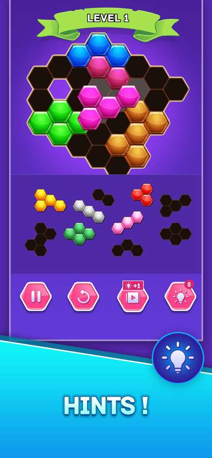 Hexa Block Puzzle Game Maniaios版3