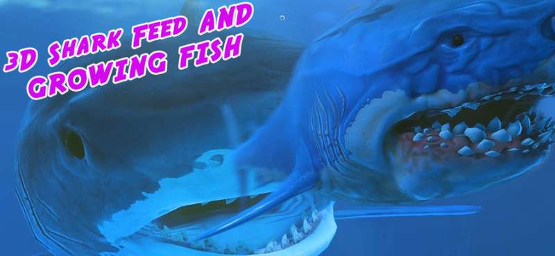 3D Shark Feed and Growing Fishios版1
