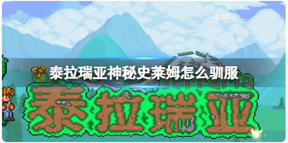 泰拉瑞亚怎么驯服神秘史莱姆 关于神秘史莱姆的驯服攻略
