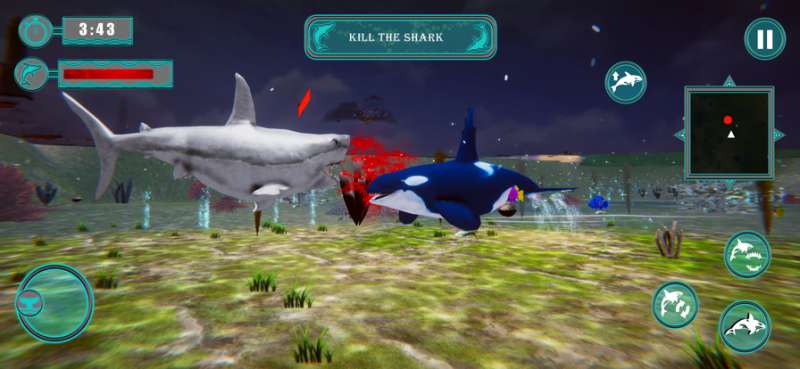 Killer Whale Orca Simulatorios版0