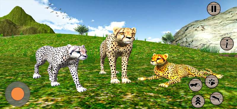 Wild Cheetah Simulator Game 3dios版3