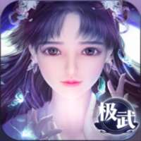 极武尊：天机ios版