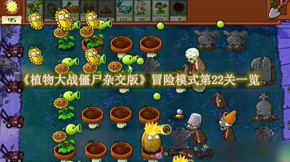 《植物大战僵尸杂交版》冒险模式第22关怎么玩