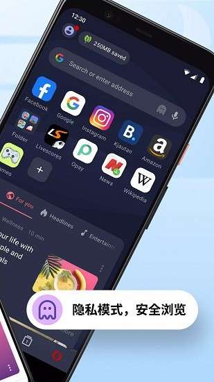 Opera Mini4